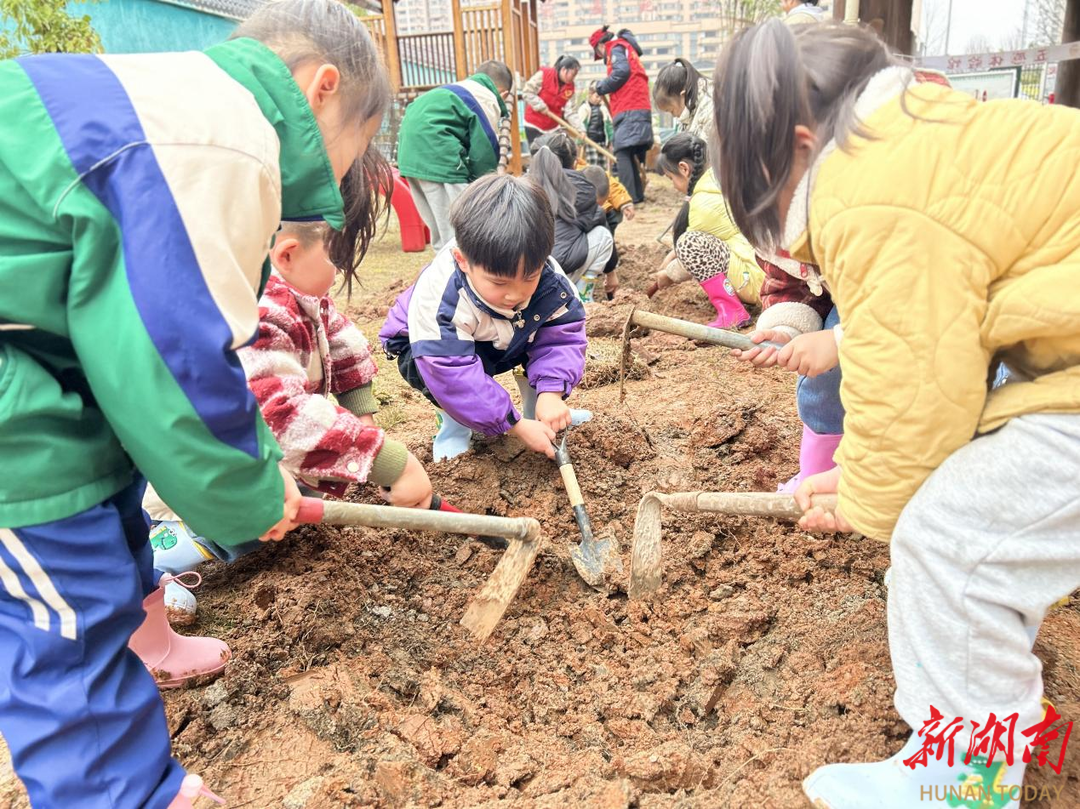 怀化市鹤城区第二幼儿园：童心共筑生态梦