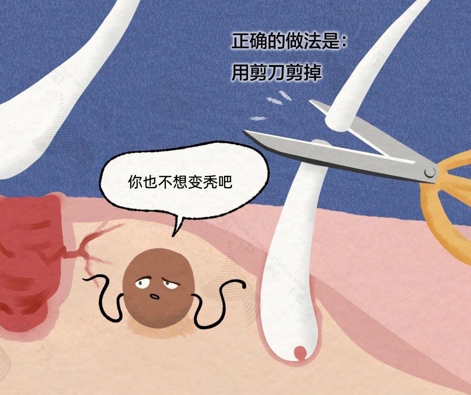 周末·健康丨白头发是怎么一点点长出来的？全过程曝光→