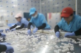 湛江连夜检查“保水虾仁”，责令企业立即停止销售涉事产品