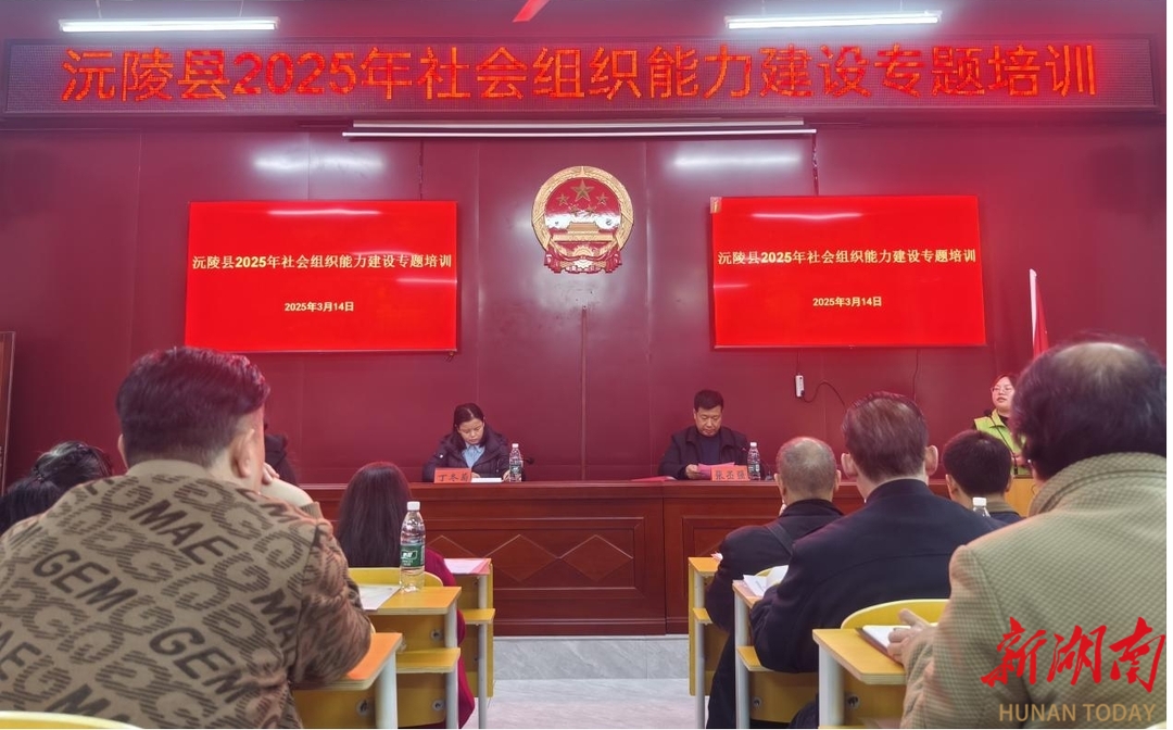 赋能社会组织，沅陵奏响基层治理奋进曲