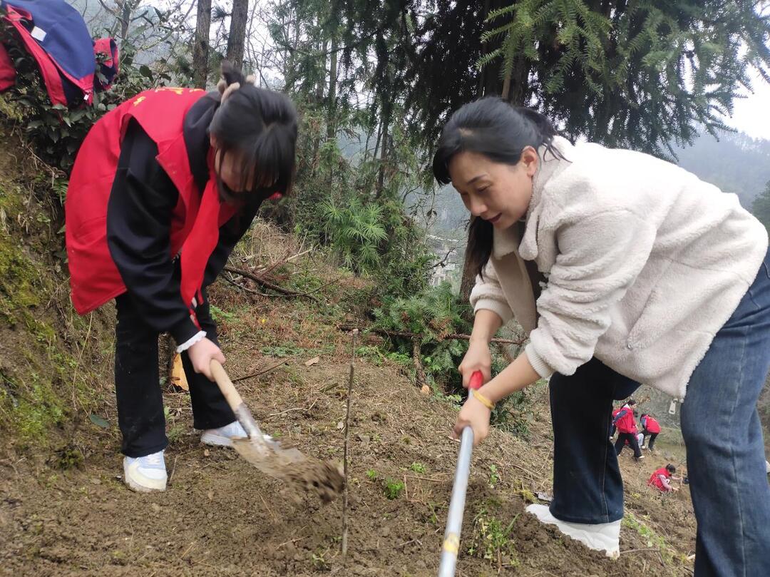 龙山县第三小学：党建带队建 植树添新绿