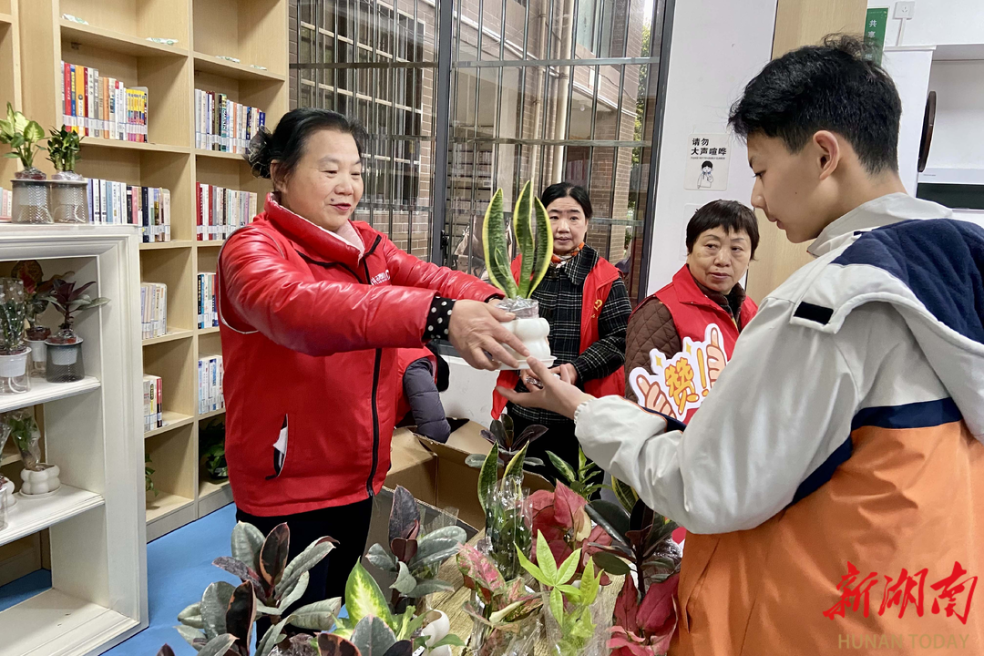 旧书换新绿：图书馆开启环保交换之旅