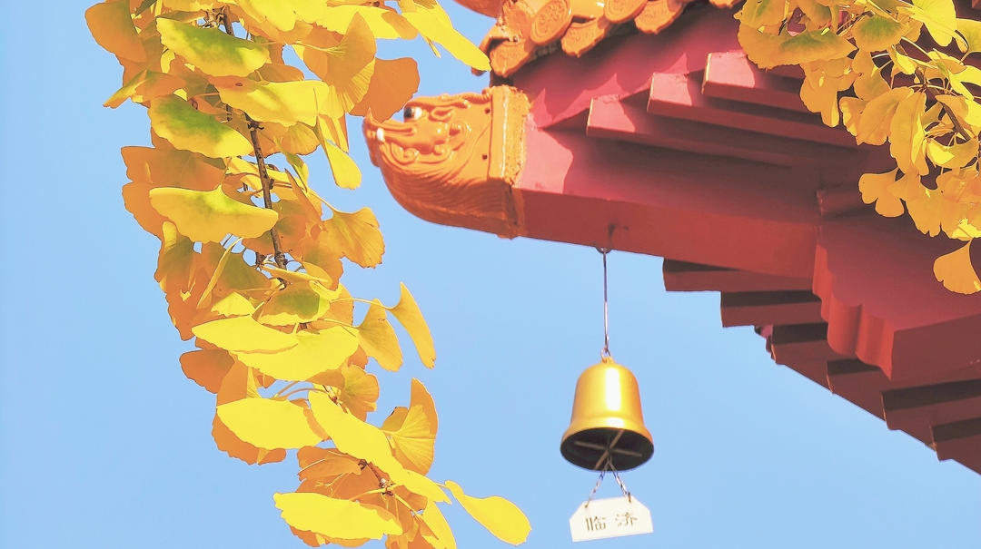 春如四季！湖南人的早夏装要拿出来了