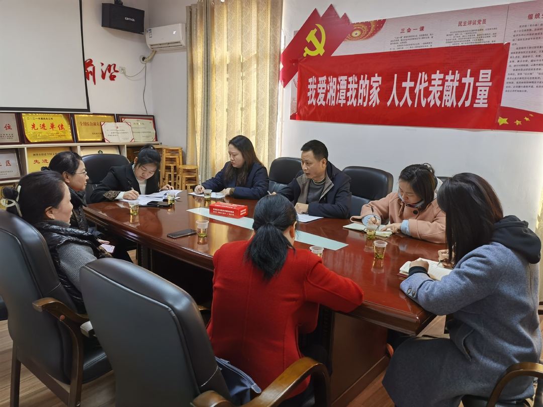 湘潭城正街街道：人大代表献力量，文化传承有方向