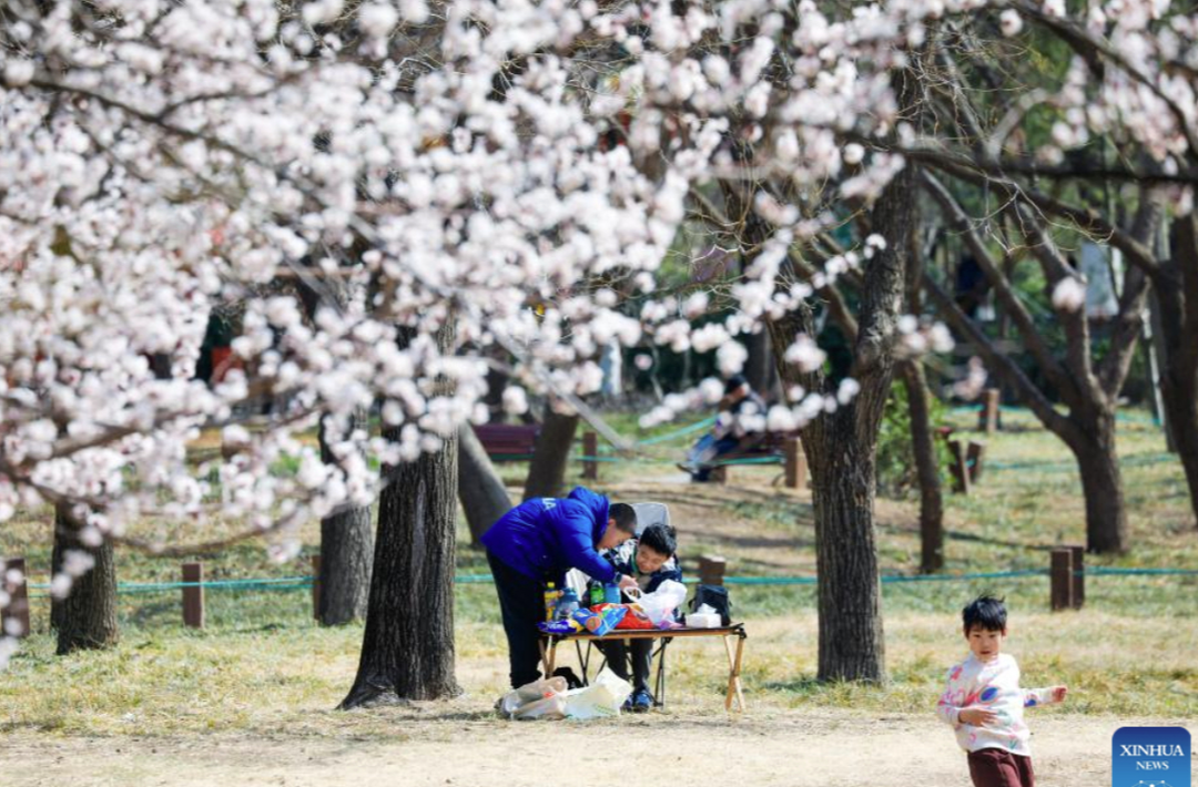 Spring scenery across China