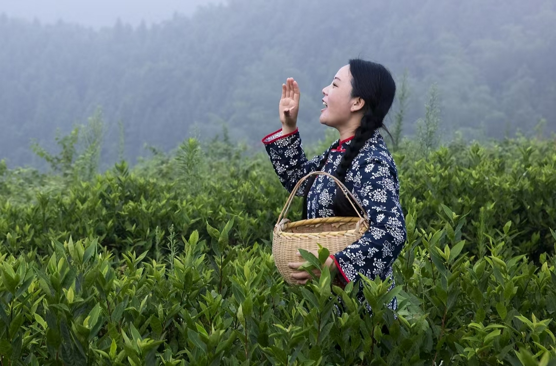 湘江副刊·潮头丨从雪峰山麓唱到洞庭湖畔：登春山，唱茶歌