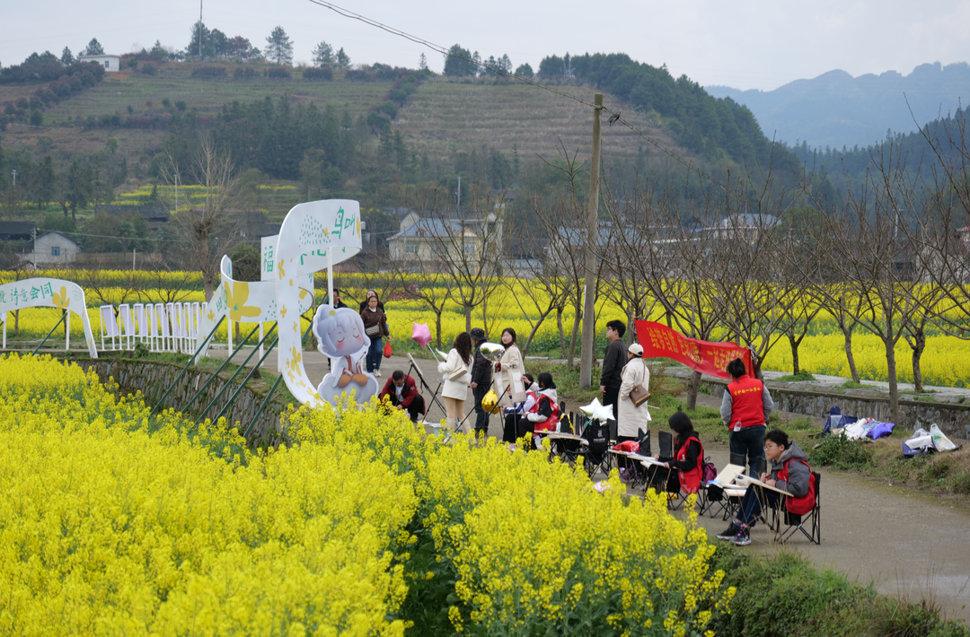 福地怀化·浪漫季 | 会同油菜花节启幕 文旅融合绘春色盛宴