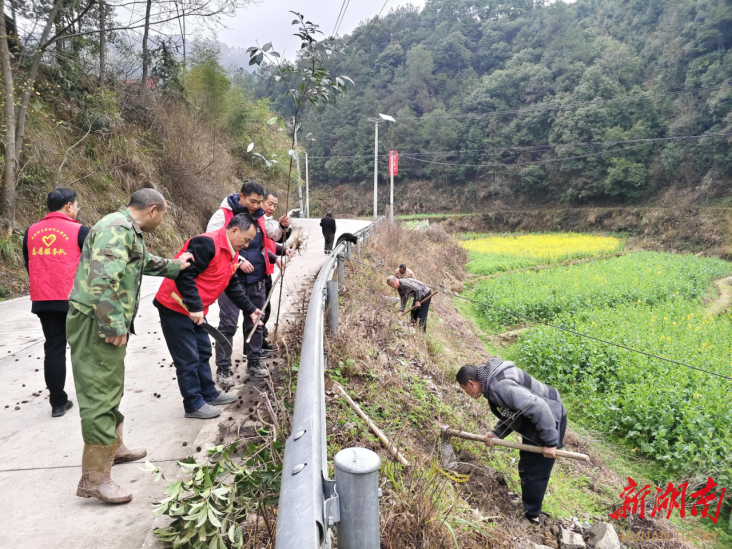 溆浦：淘金坪乡开展全民义务植树活动