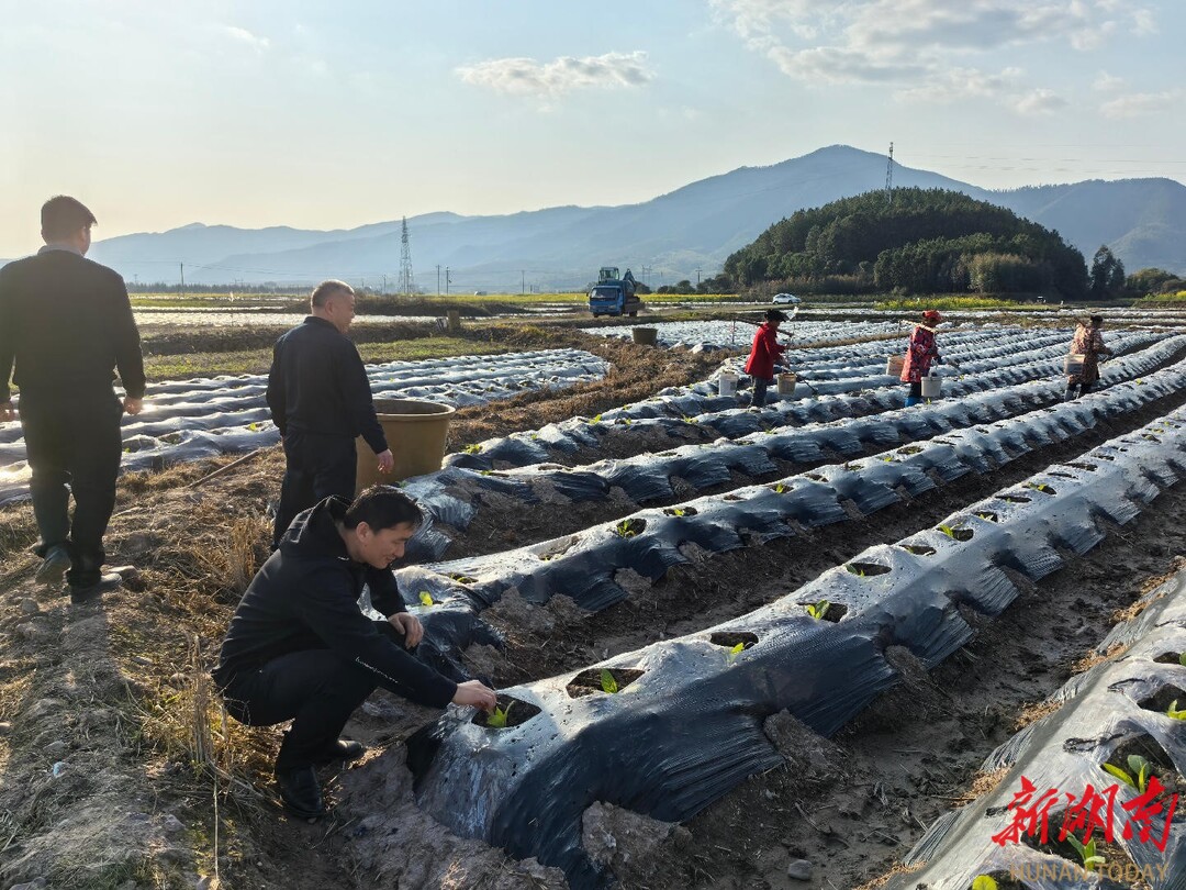 江永：下沉监督护航春耕生产