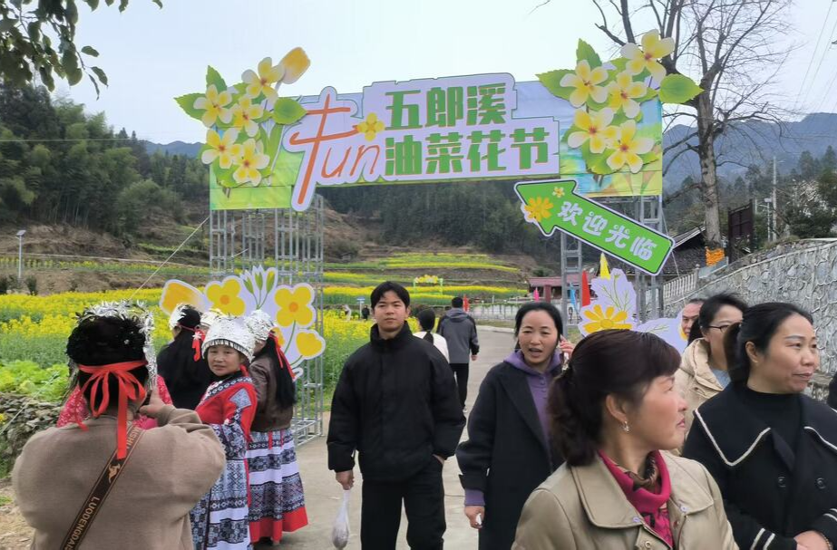 乡村办节会，委员来助力！2025·芷江油菜花节启幕