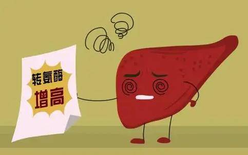 全方位解读肝功能异常那些事儿