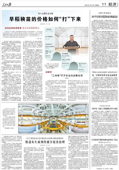 从5元到2元8角早稻秧苗的价格如何“打”下来
