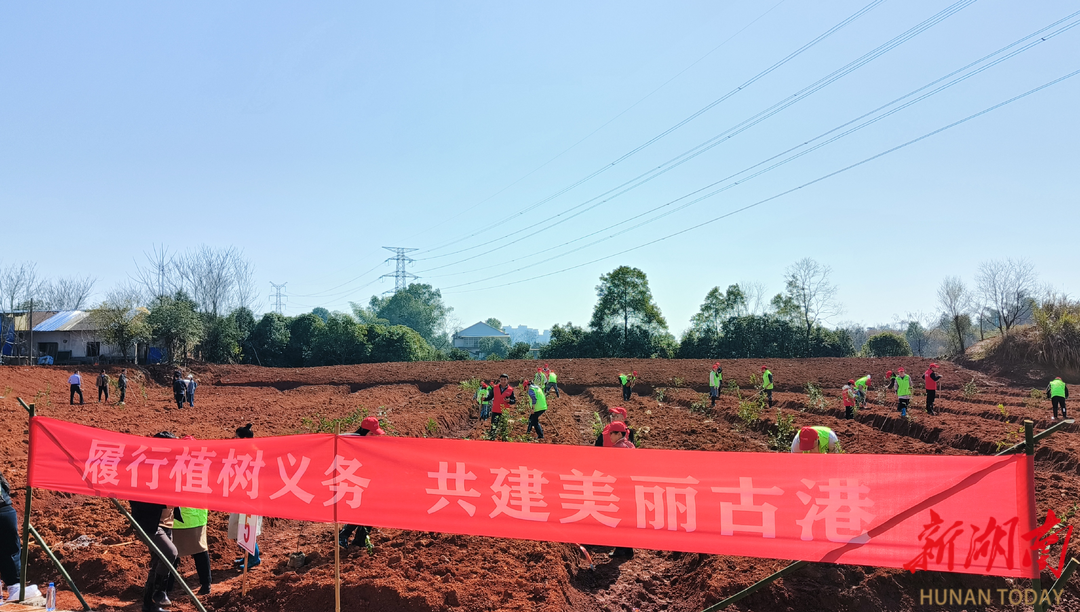 浏阳市古港镇：植绿添新 共建美丽古港