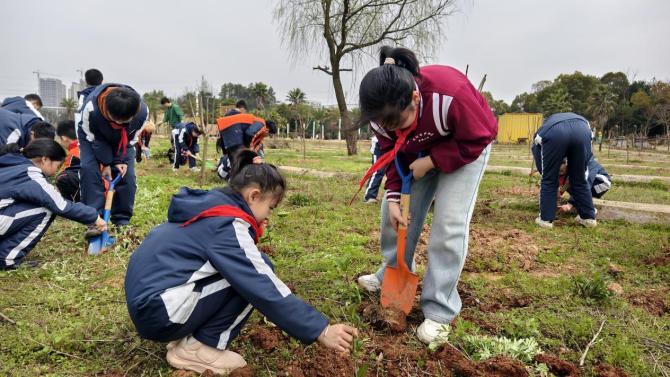 株洲市芦淞区莲塘小学植下希望之树，共筑绿色未来