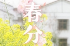 今日春分，愿您一程春暖花开、一路春风得意