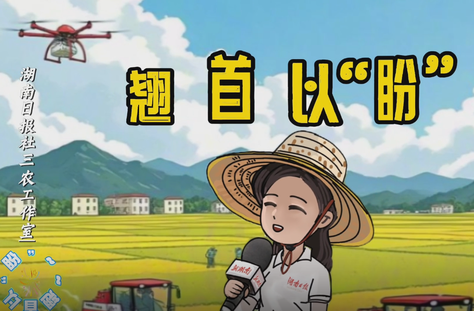 翘首以“盼”丨小粒种更能长出“大块头”？
