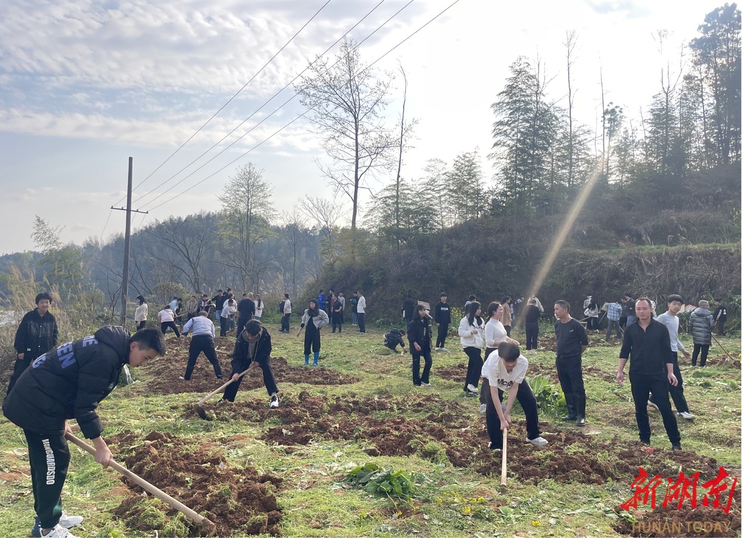 绥宁县东山侗族乡学校开展劳动教育活动