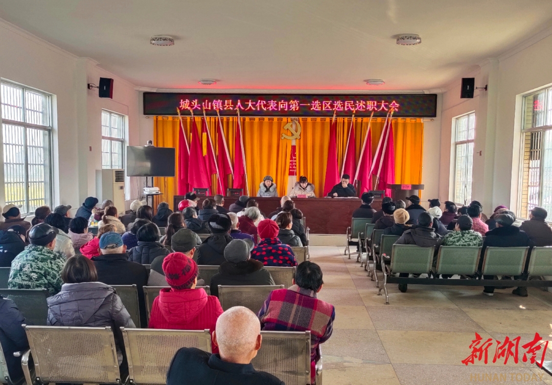 澧县城头山镇召开人大代表述职评议会议