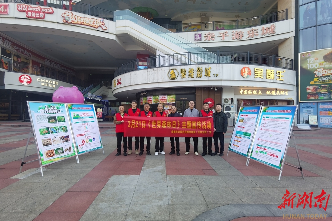 保护森林 丰盈“粮库” 常德武陵区开展“世界森林日”主题宣传活动