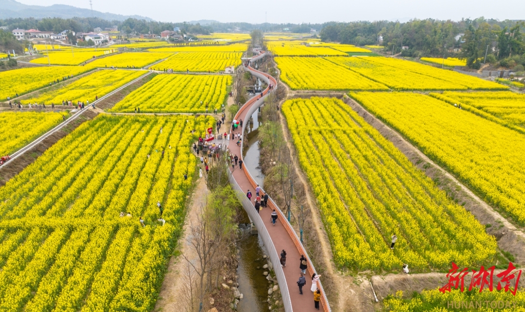 小猪赛跑、捉鸡回笼、萌宠乐园……2025年福临镇踏春赏花季盛大开幕