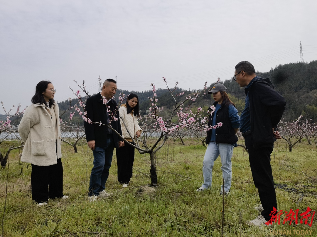 张家界国家农业科技园区：科技特派员助力春耕，乡村振兴跑出“加速度”