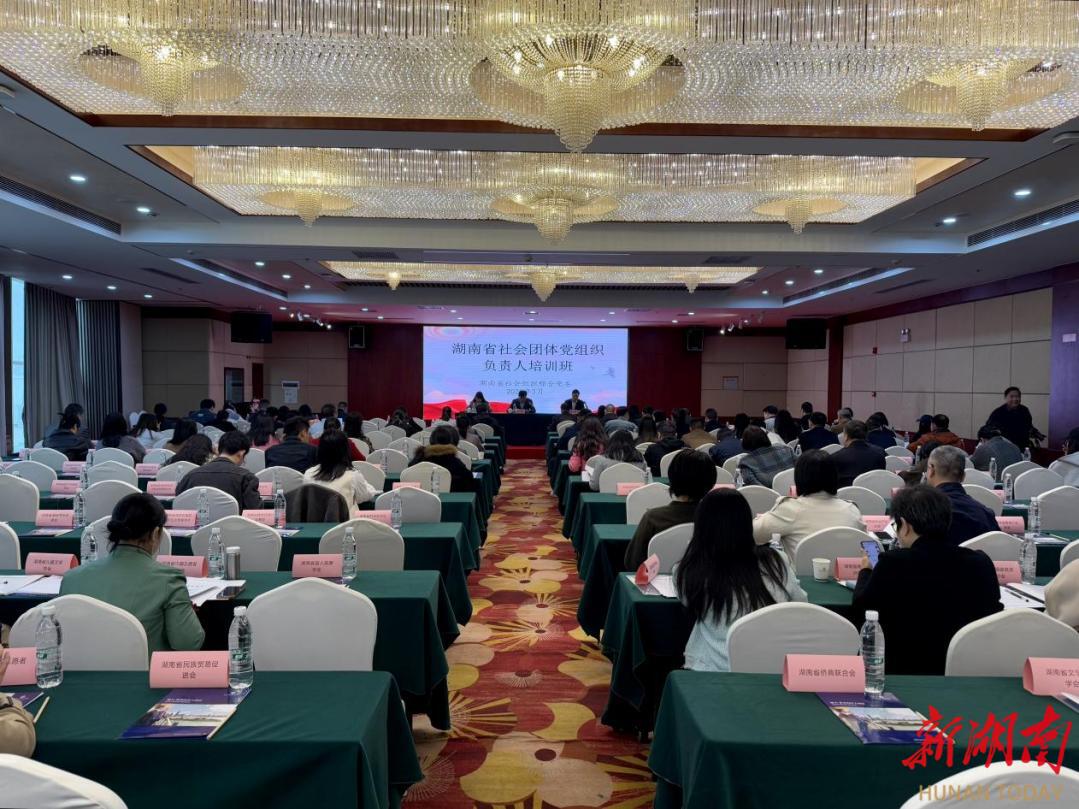 湖南省社会组织综合党委举办社会组织党组织负责人培训班