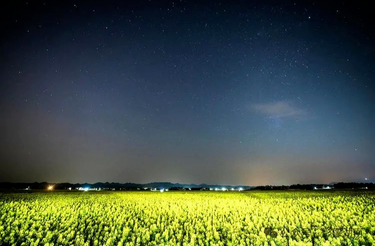 湘江投递的“盲盒”：拆开是花海，摇晃有星河