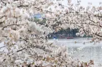 江南华南阴雨暂歇有望放晴 中东部温暖回归多地重返20℃