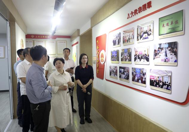 长沙大泽湖街道：学习经验促发展  视察调研履职能