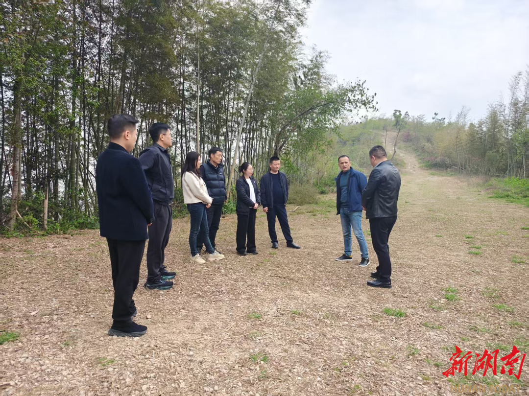 长沙黄金园街道：深学笃行“三会三文” 凝心聚力促发展