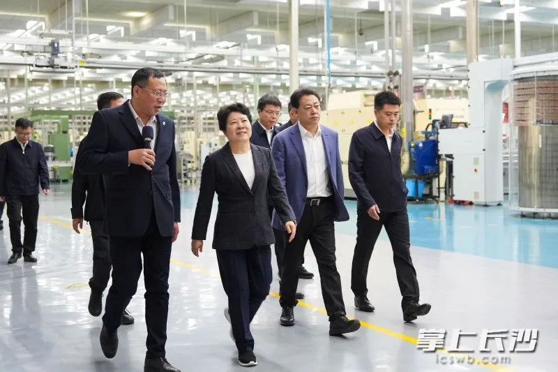 吴桂英调研雨花区经济社会发展情况并督导森林防火工作