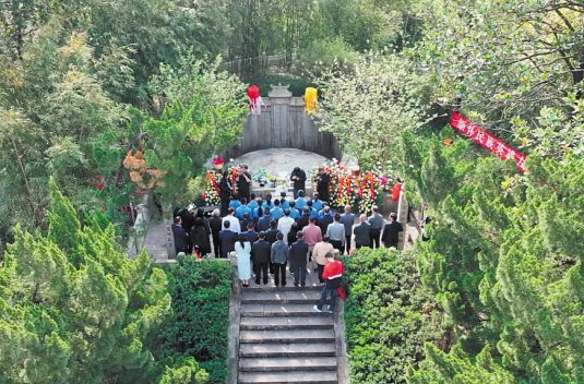 以柳为媒，山河情深