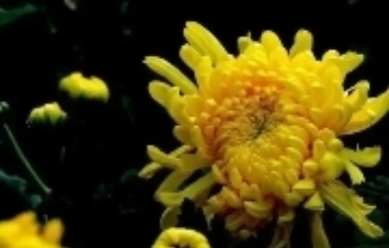 湖南日?qǐng)?bào)全媒體評(píng)論員丨緬懷逝者，讓人間更值得