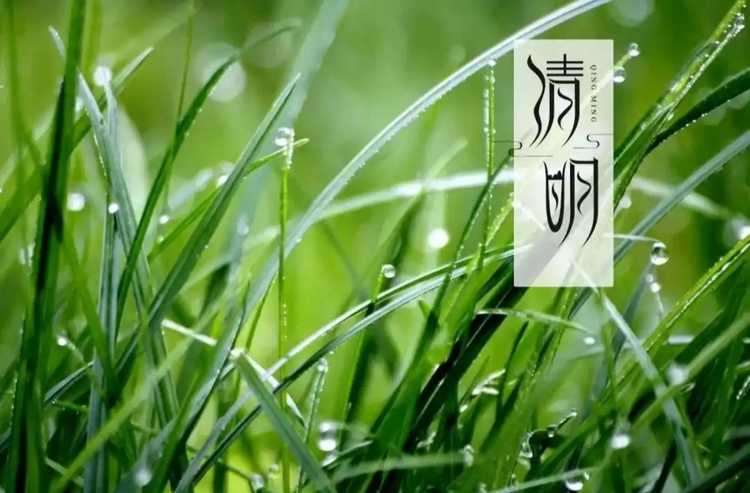 诗歌｜清明