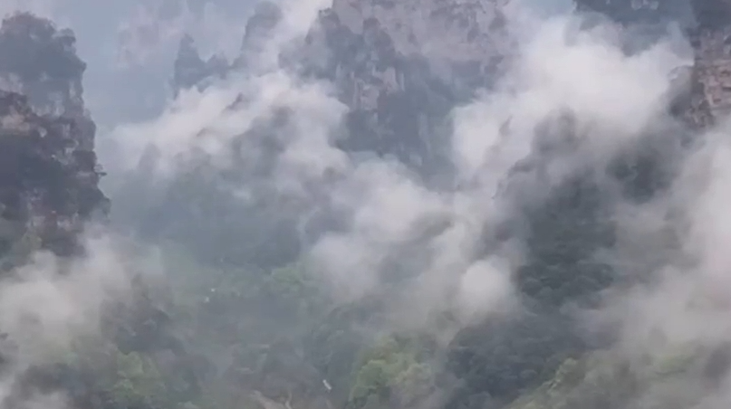 张家界清明假期美如画 赏花看山云海相伴