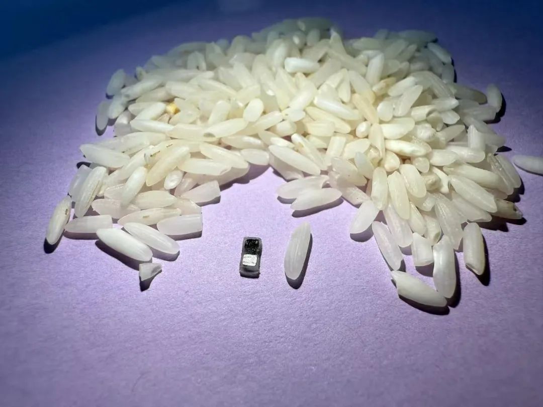 这个心脏起搏器比米粒还小