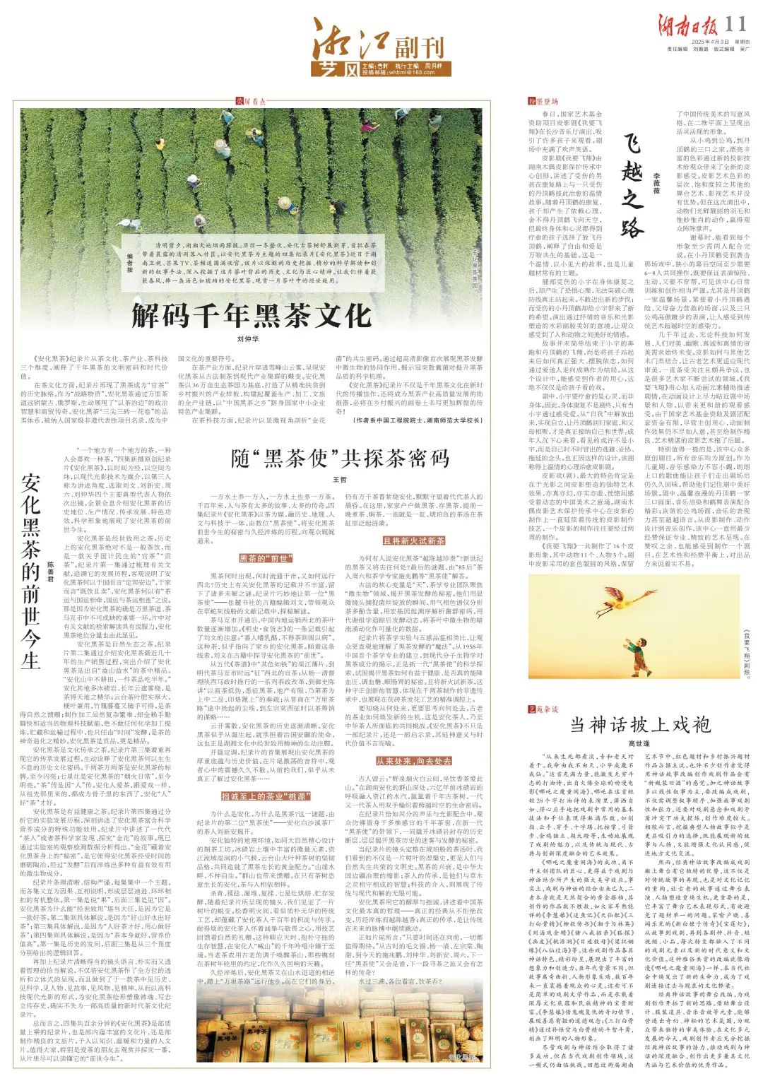 艺评｜陈善君：在光影里读懂“安化黑茶”的前世今生