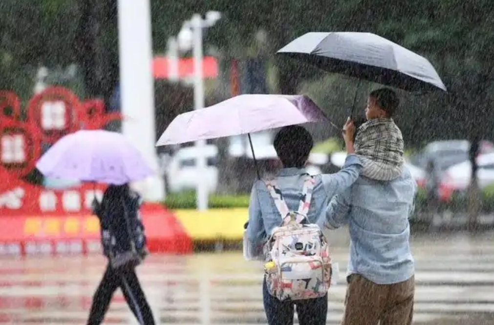 暖热初夏→速冷早春！周末冷空气登场多地迎降温