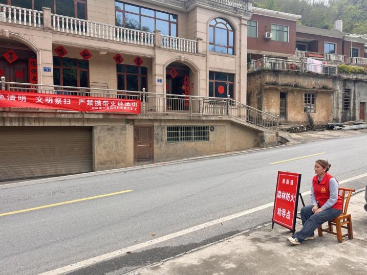 浏阳洞阳镇：“三网融合”绘就清明新画卷