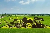 好评中国丨锚定农业强国目标，描绘“三农”新画卷