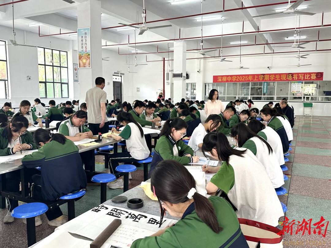 安乡县深柳中学：翰墨飘香传经典  笔尖竞秀展风采