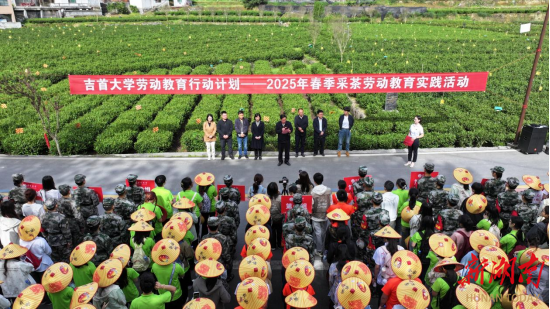 吉首大学劳动教育基地扎根湘西茶山