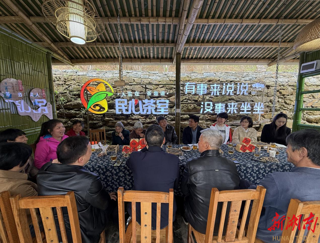 视频|农业农村部专家调研新化县奉家镇“民心茶室”