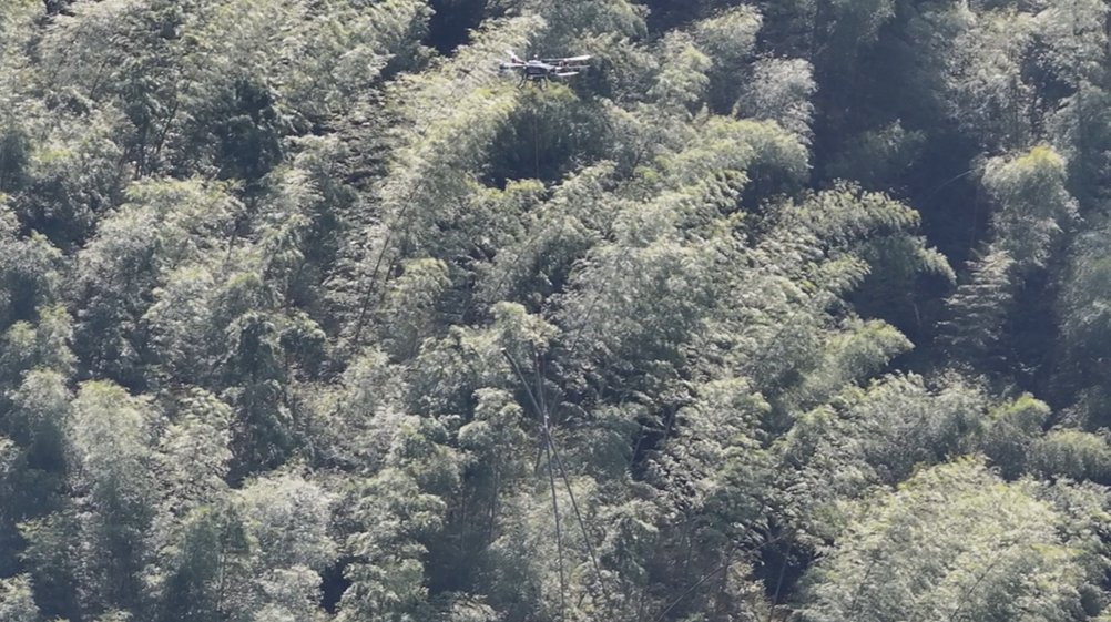 绥宁：无人机“上岗”搭建“空中走廊”，智解吊运南竹下山难题
