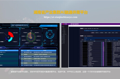 湖南发布全国首个产业集群AI供需平台