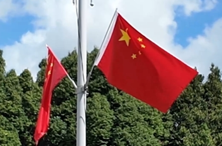 时政Vlog丨友好氛围拉满！布城街头中马国旗飘扬