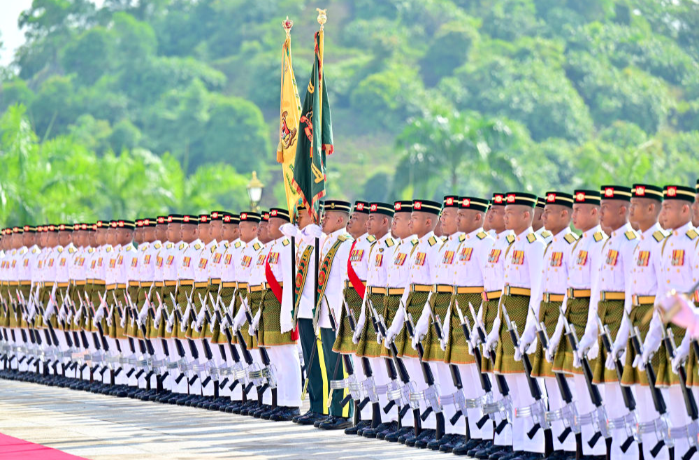 习近平出席易卜拉欣举行的欢迎仪式