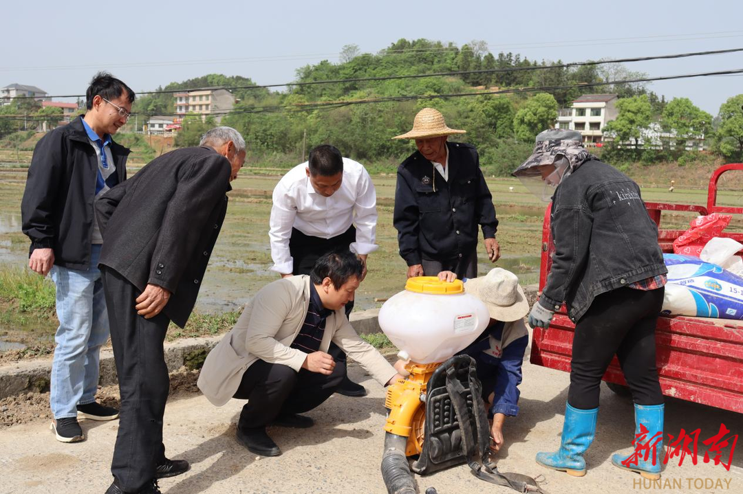 双峰县印塘乡抢抓农时推进双季稻种植