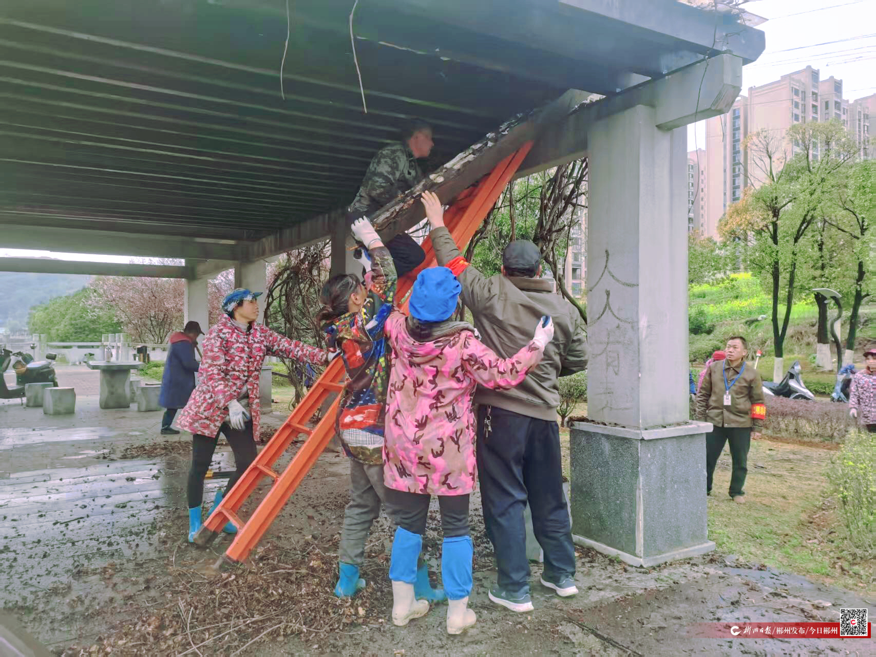 凉亭玻璃碎裂 园林部门迅速处理