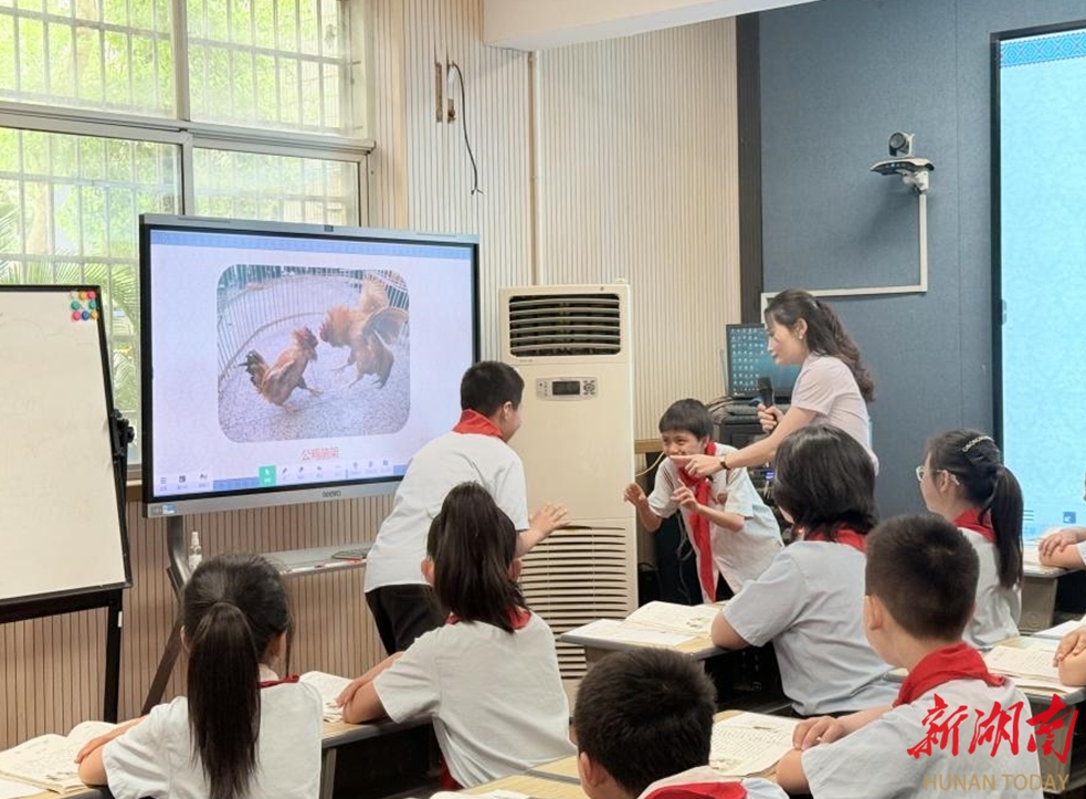 武陵区：课堂竞赛绽芳菲 习作妙法育英才